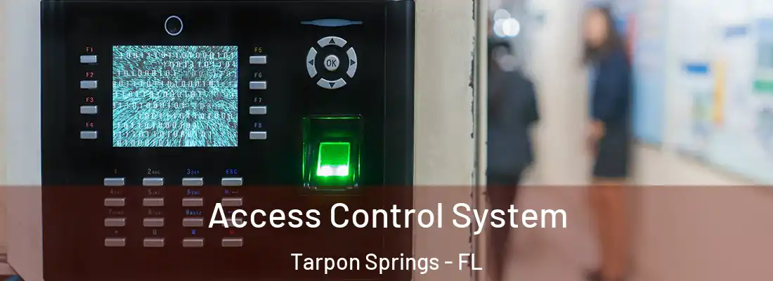  Access Control System Tarpon Springs - FL