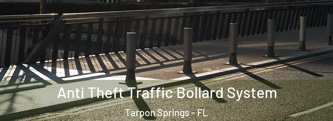 Anti Theft Traffic Bollard System Tarpon Springs - FL