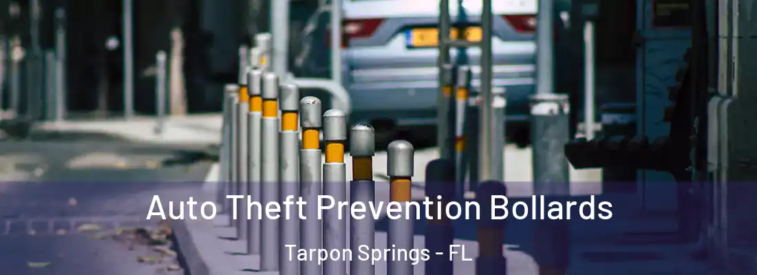 Auto Theft Prevention Bollards Tarpon Springs - FL