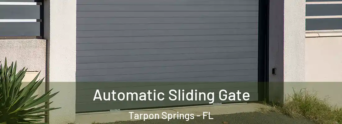  Automatic Sliding Gate Tarpon Springs - FL