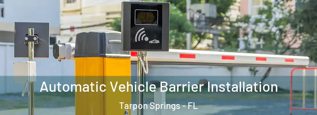 Automatic Vehicle Barrier Installation Tarpon Springs - FL