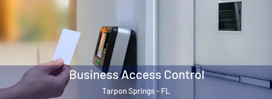 Business Access Control Tarpon Springs - FL