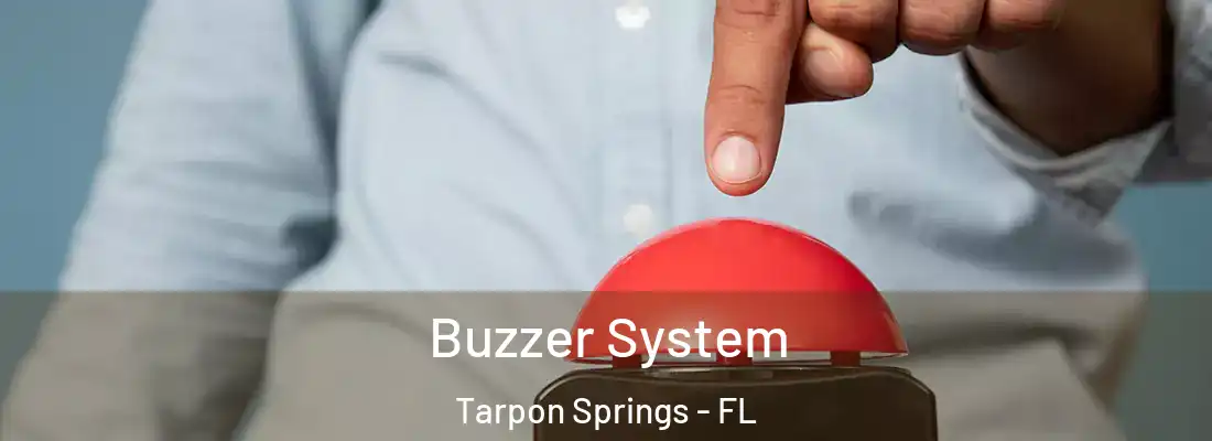 Buzzer System Tarpon Springs - FL