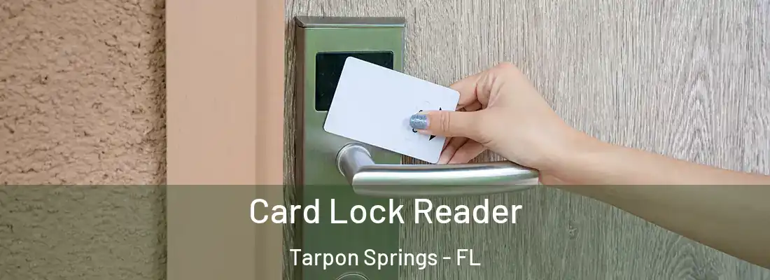 Card Lock Reader Tarpon Springs - FL