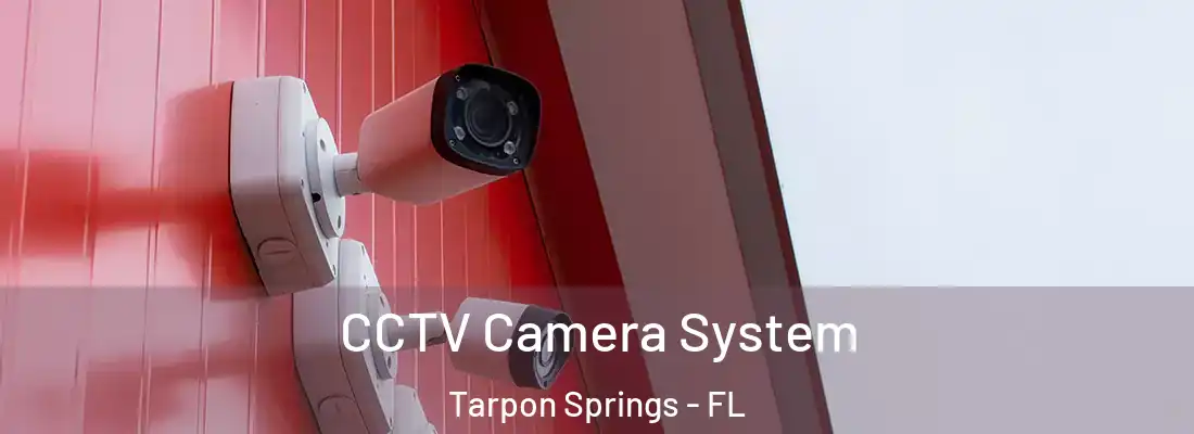 CCTV Camera System Tarpon Springs - FL