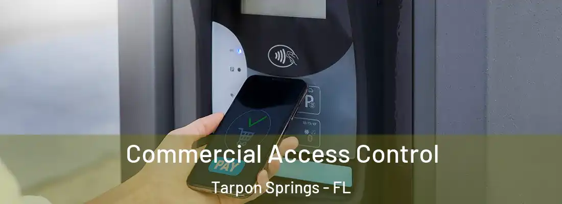 Commercial Access Control Tarpon Springs - FL