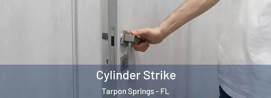 Cylinder Strike Tarpon Springs - FL