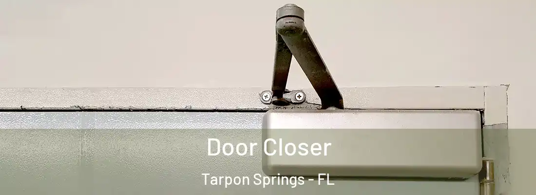  Door Closer Tarpon Springs - FL