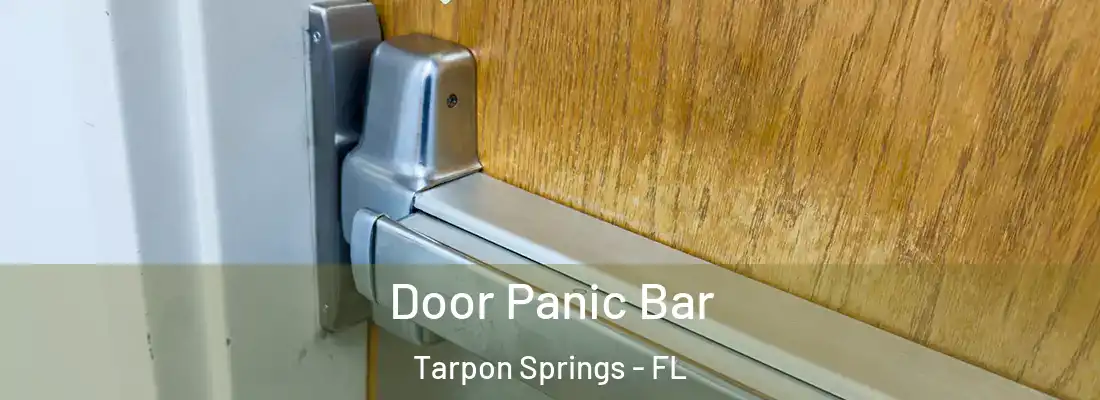 Door Panic Bar Tarpon Springs - FL