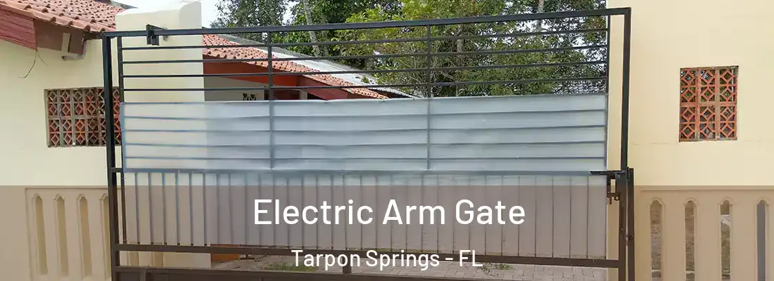 Electric Arm Gate Tarpon Springs - FL