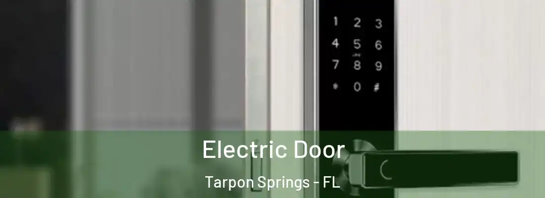  Electric Door Tarpon Springs - FL