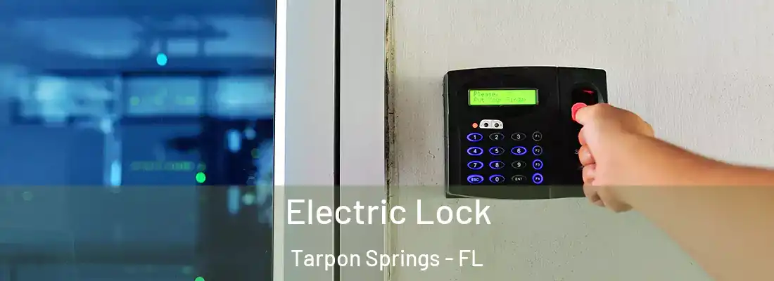 Electric Lock Tarpon Springs - FL