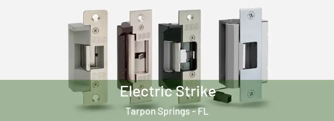 Electric Strike Tarpon Springs - FL