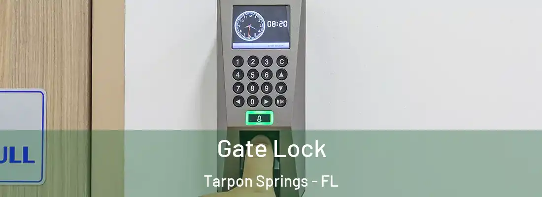 Gate Lock Tarpon Springs - FL