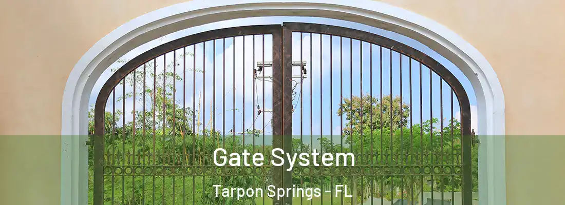Gate System Tarpon Springs - FL