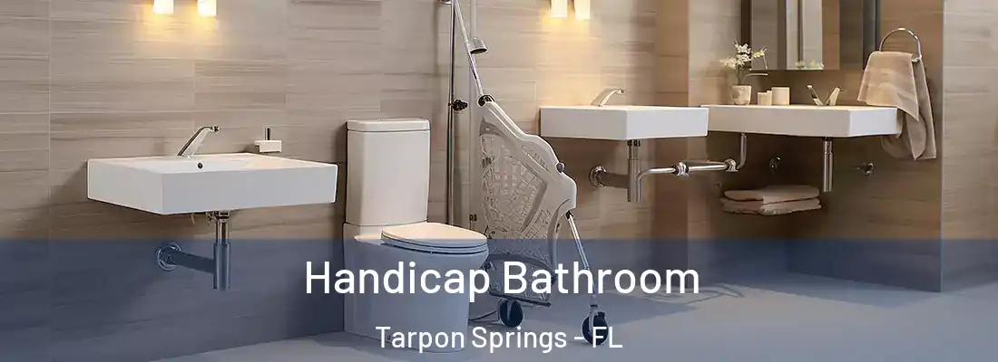  Handicap Bathroom Tarpon Springs - FL