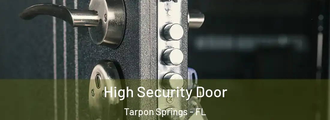 High Security Door Tarpon Springs - FL