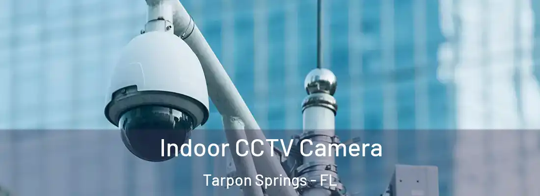 Indoor CCTV Camera Tarpon Springs - FL