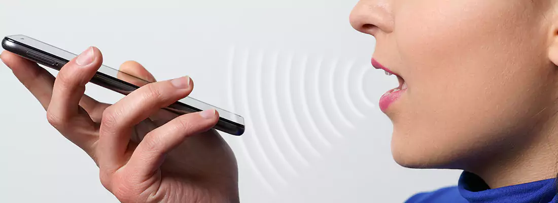 Residential and Commercial Voice Recognition Access Solutions in Tarpon Springs, FL