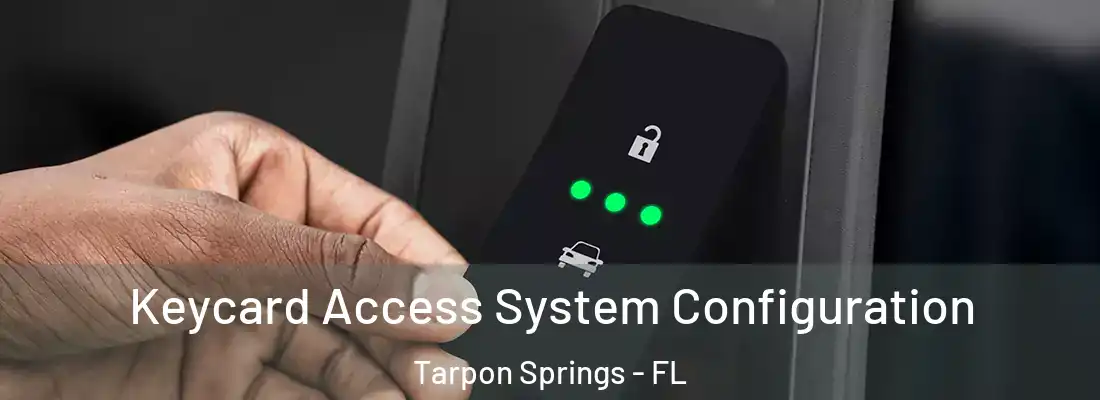 Keycard Access System Configuration Tarpon Springs - FL