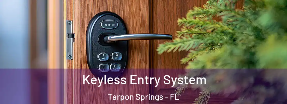Keyless Entry System Tarpon Springs - FL