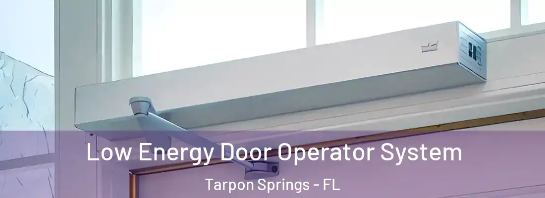 Low Energy Door Operator System Tarpon Springs - FL
