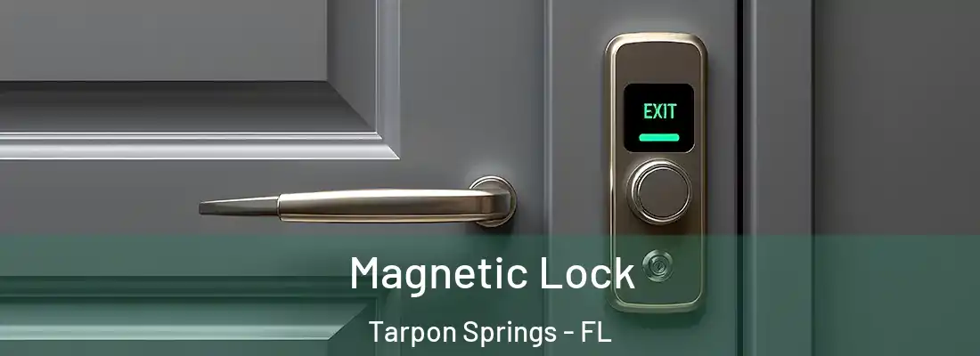 Magnetic Lock Tarpon Springs - FL