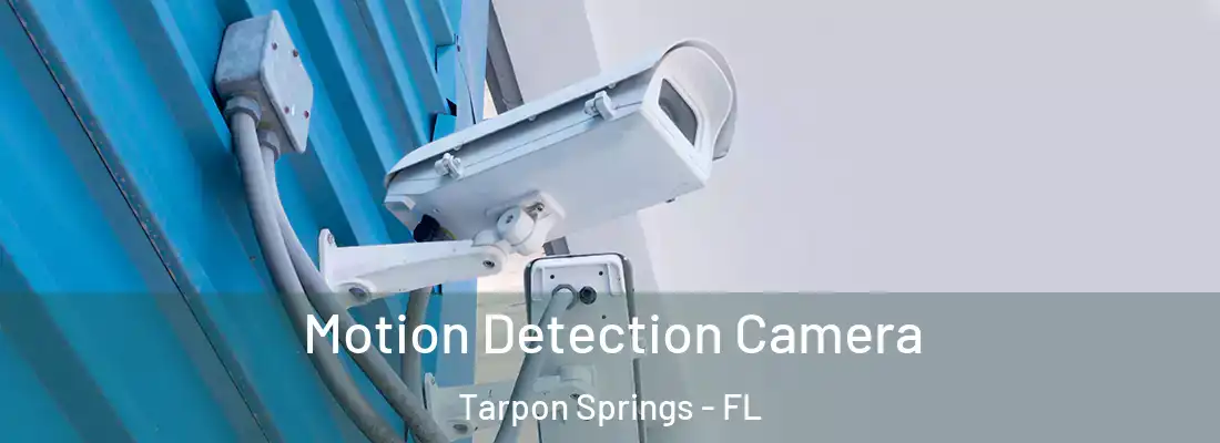 Motion Detection Camera Tarpon Springs - FL