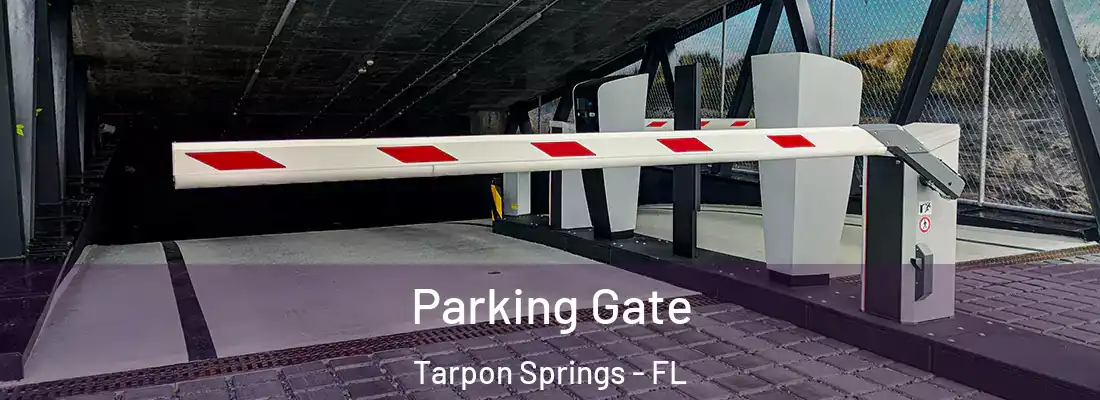  Parking Gate Tarpon Springs - FL