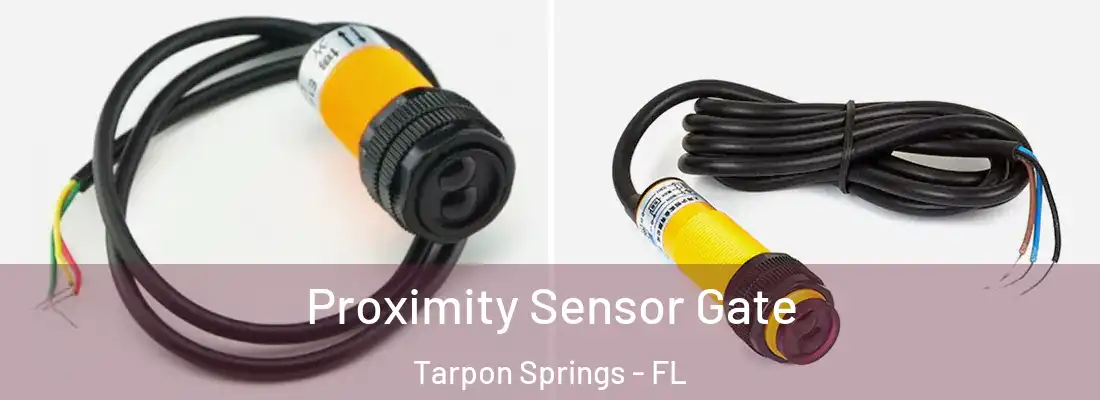 Proximity Sensor Gate Tarpon Springs - FL