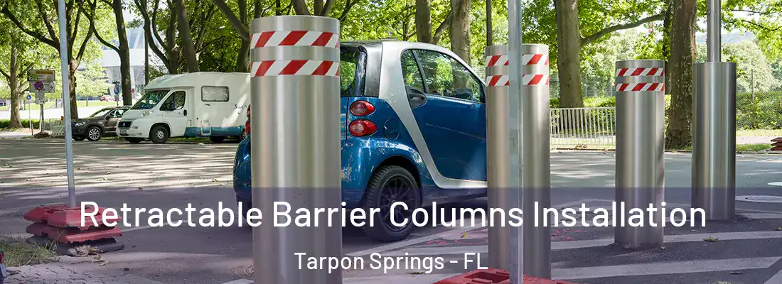  Retractable Barrier Columns Installation Tarpon Springs - FL