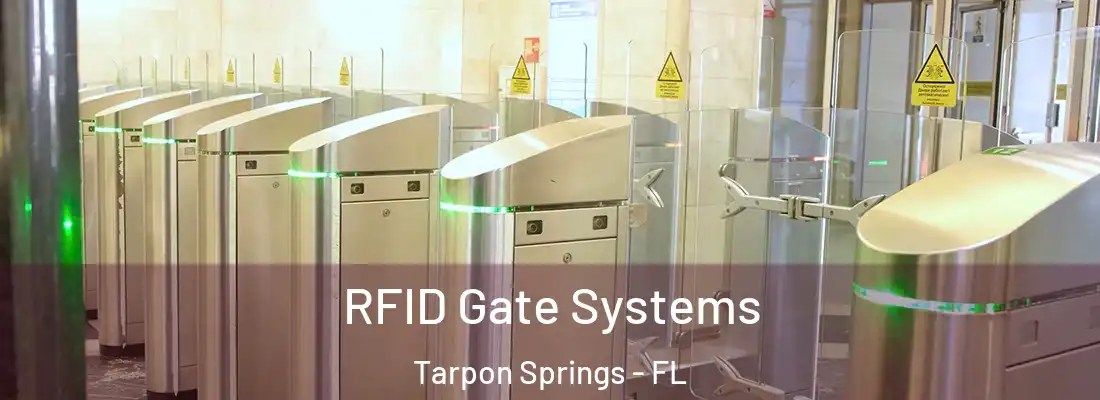RFID Gate Systems Tarpon Springs - FL