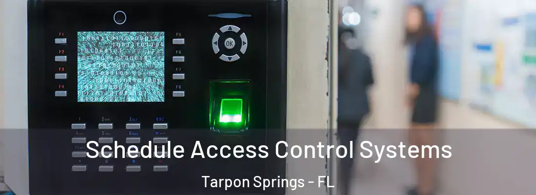 Schedule Access Control Systems Tarpon Springs - FL