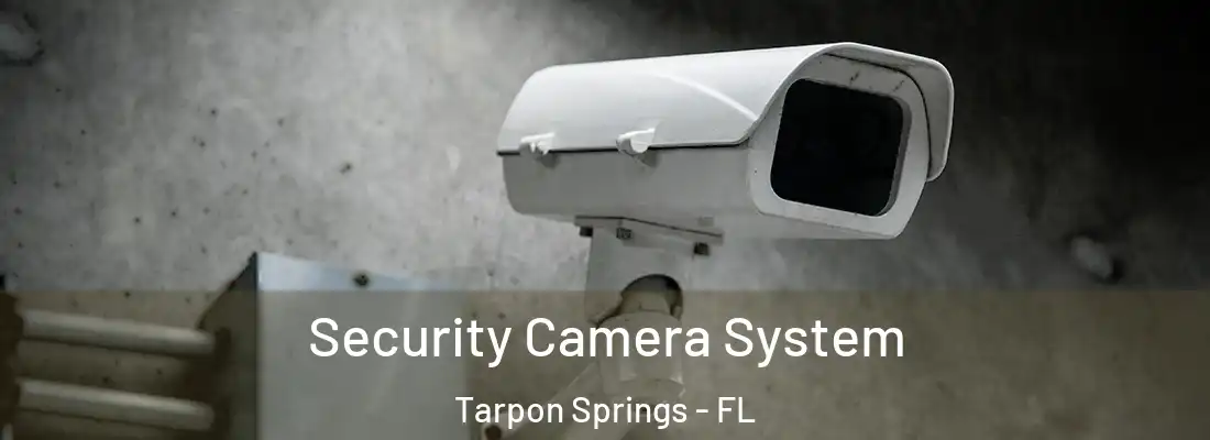  Security Camera System Tarpon Springs - FL