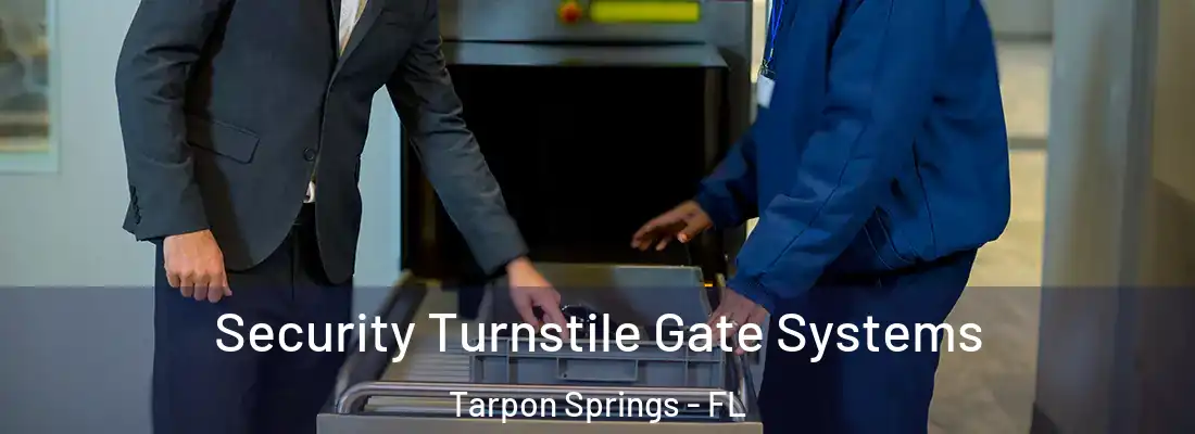 Security Turnstile Gate Systems Tarpon Springs - FL