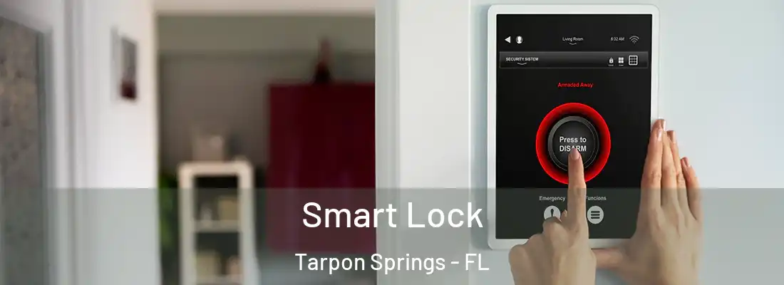Smart Lock Tarpon Springs - FL