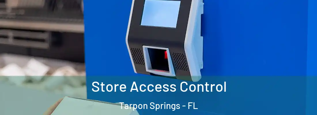 Store Access Control Tarpon Springs - FL